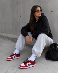 Nike Dunk Low Pro "Chicago"